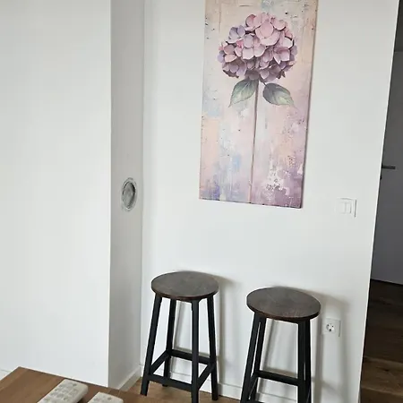 Apartment Jonke Mandre