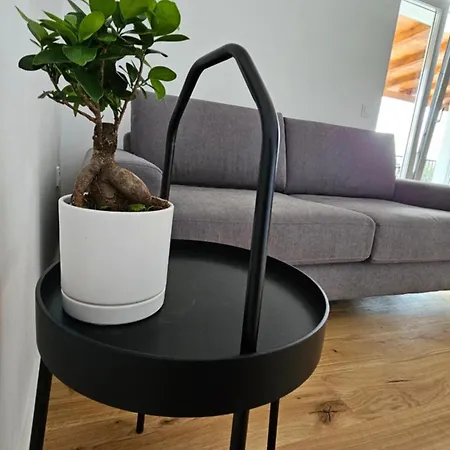 Jonke Apartmán Mandre